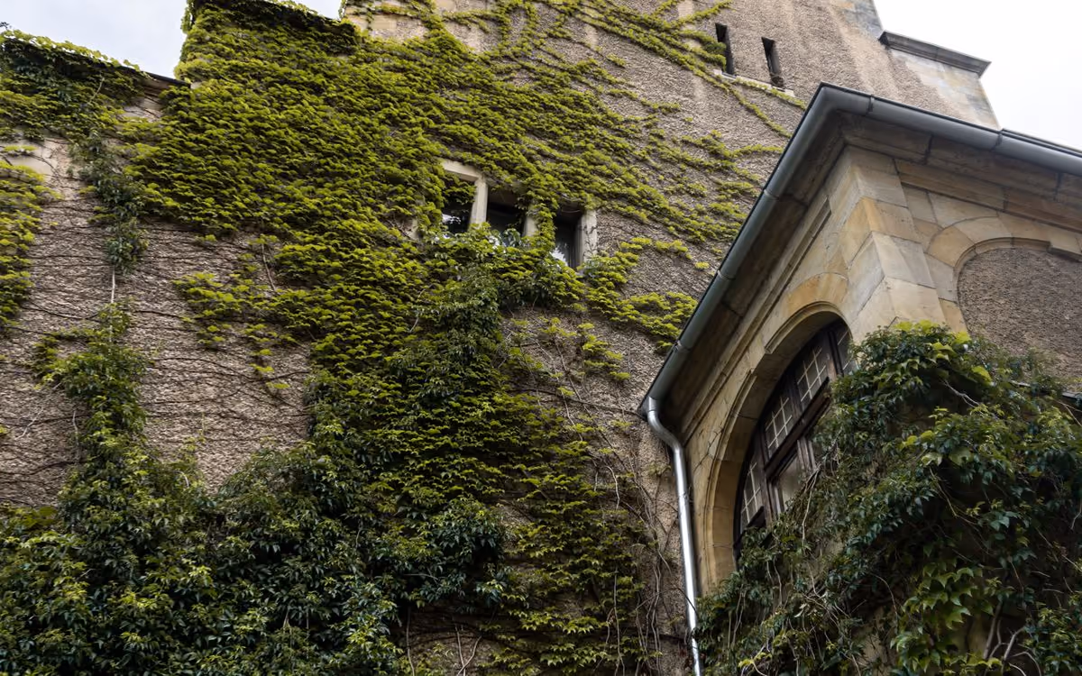 Villa Serein - stone wall with climbing greenery (placeholder photo)